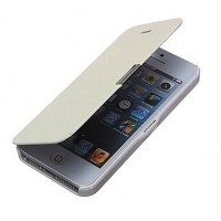 Case para Iphone 5c